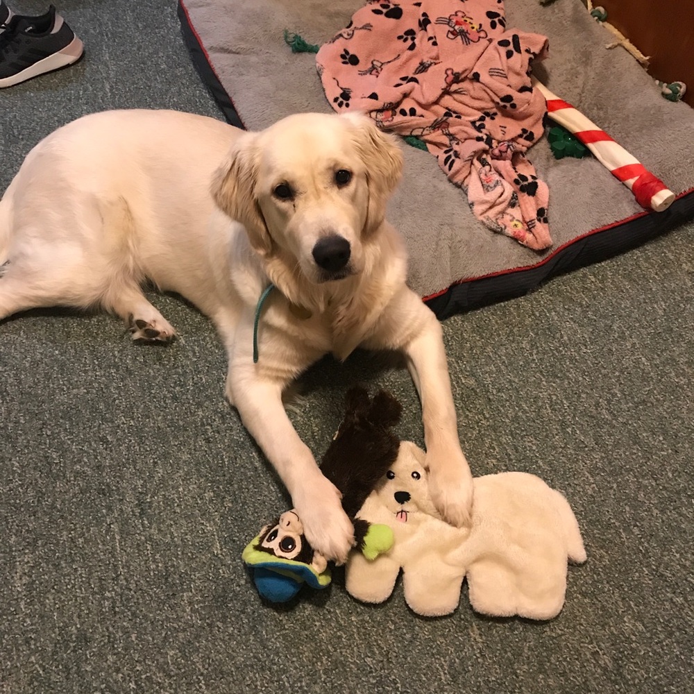 Meet your Posher, Haley